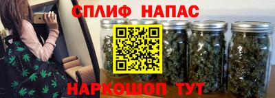 стафф Бийск