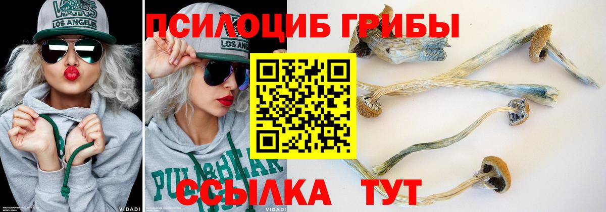 Галлюциногенные грибы ЛСД Кирово-Чепецк
