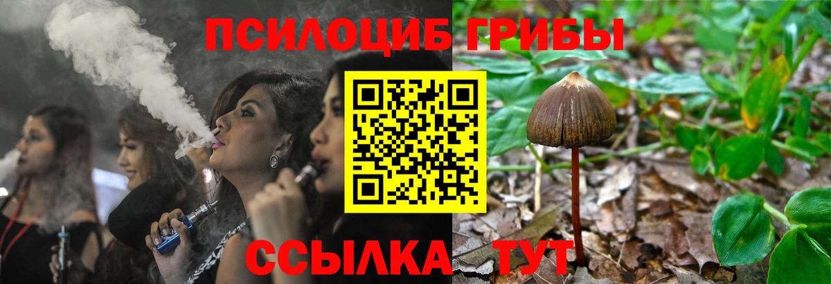 Кирово-Чепецк  Галлюциногенные грибы MAGIC MUSHROOMS  Вход с VPN 